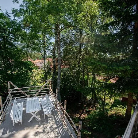 Suncev Breg Vlasinsko Jezero 公寓 *