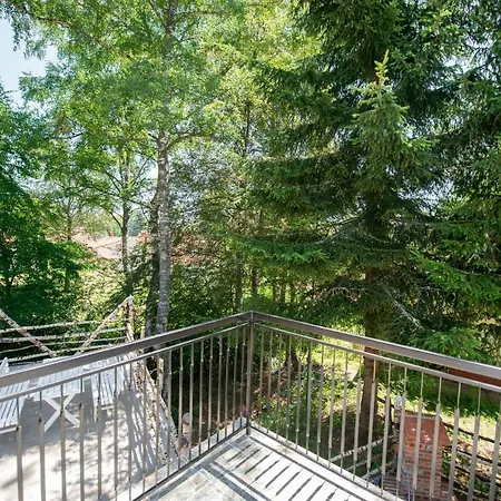 Suncev Breg Vlasinsko Jezero Surdulica