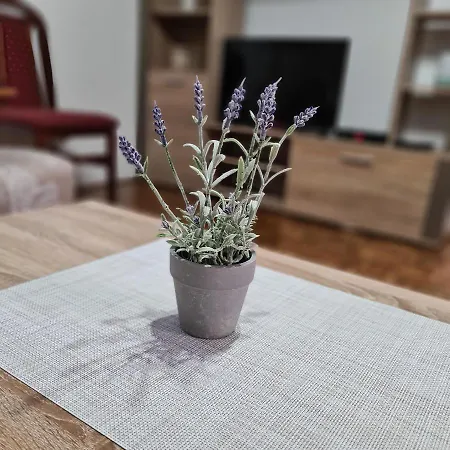 Apartamento Suncev Breg Vlasinsko Jezero