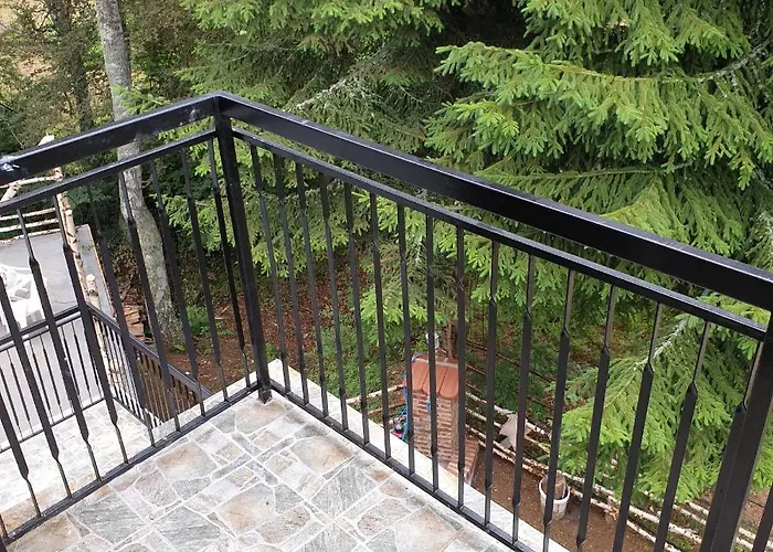 Suncev Breg Vlasinsko Jezero