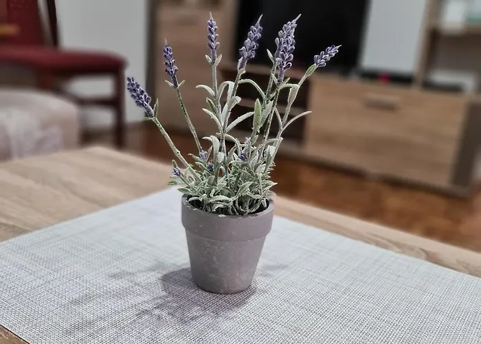 Apartment Suncev Breg Vlasinsko Jezero